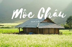 Tour Hà Nội - Mộc Châu 2N1Đ 